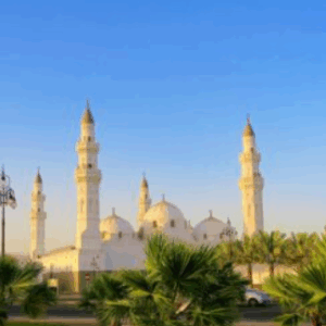 Holy Quran Chinese Trans.